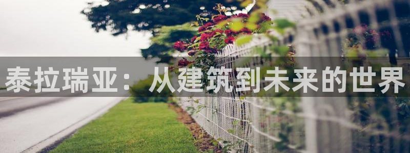 意昂体育3平台：泰拉瑞亚：从建筑到未来的世界