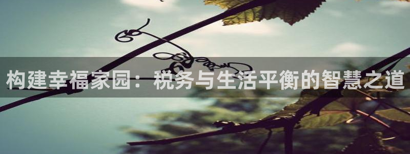 意昂3科技：构建幸福家园：税务与生活平衡的智慧之道