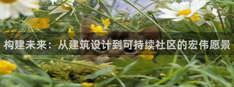 意昂体育3招商电话：构建未来：从建筑设计到可持续社区的宏伟愿景