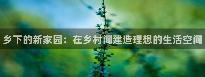 意昂体育3招商电话是多少：乡下的新家园：在乡村间建造理想的生活空间