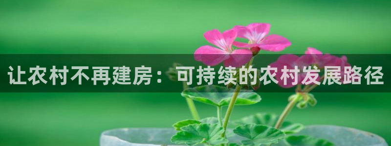意昂体育3平台APP：让农村不再建房：可持续的农村发展路径