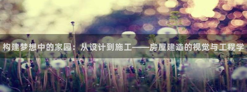 意昂体育3开户：构建梦想中的家园：从设计到施工——房屋建造的视觉与工程学