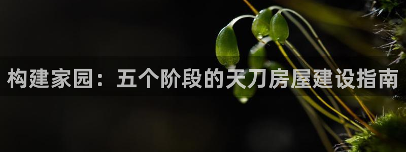 德国意昂3集团：构建家园：五个阶段的天刀房屋建设指南