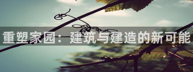 意昂3娱乐首页网站大全：重塑家园：建筑与建造的新可能
