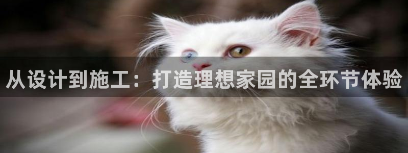 意昂平台体育：从设计到施工：打造理想家园的全环节体验