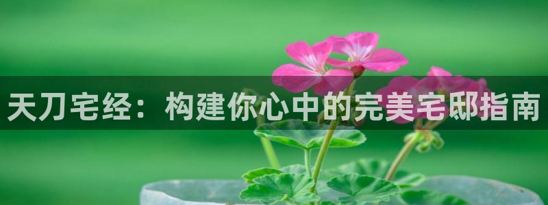 意昂体育3平台注册流程图：天刀宅经：构建你心中的完美宅邸指南