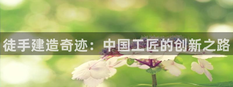 意昂体育3招商电话：徒手建造奇迹：中国工匠的创新之路