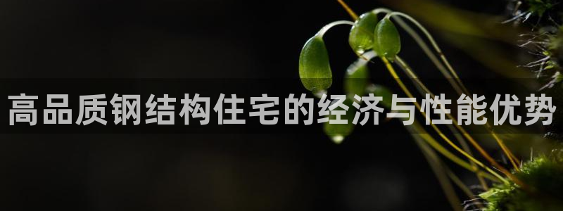 意昂体育3平台：高品质钢结构住宅的经济与性能优势