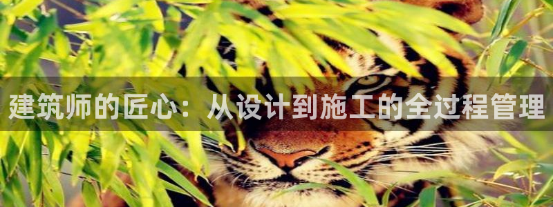 意昂3娱乐网站：建筑师的匠心：从设计到施工的全过程管理