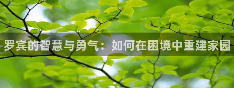 意昂3五金厂：罗宾的智慧与勇气：如何在困境中重建家园