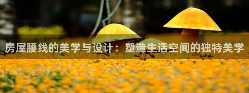 意昂体育3招商：房屋腰线的美学与设计：塑造生活空间的独特美学