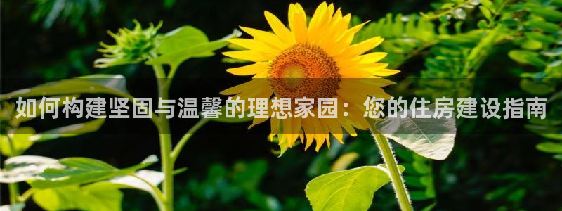 意昂体育3招商电话号码查询是多少：如何构建坚固与温馨的理想家园：您的住房建设指南