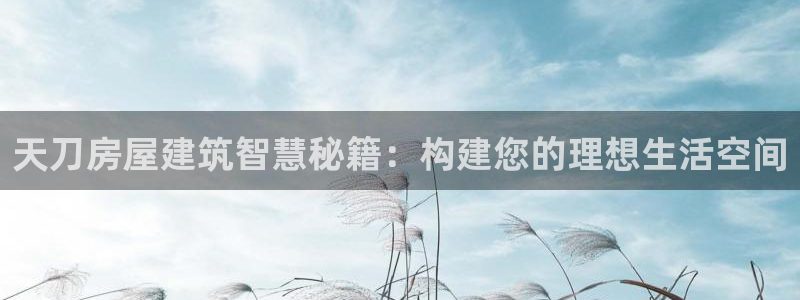 意昂体育3注册：天刀房屋建筑智慧秘籍：构建您的理想生活空间