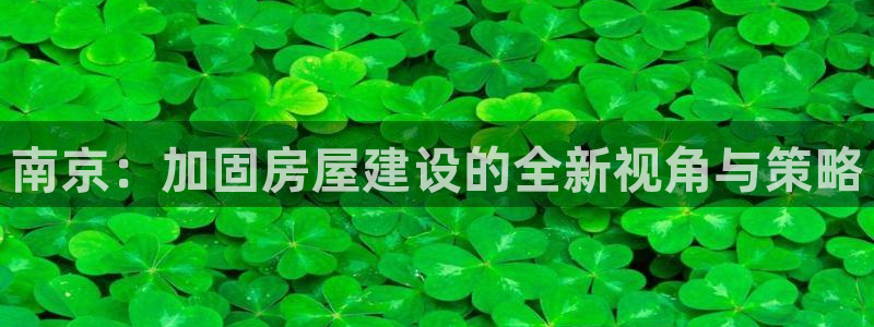 意昂3新能源：南京：加固房屋建设的全新视角与策略