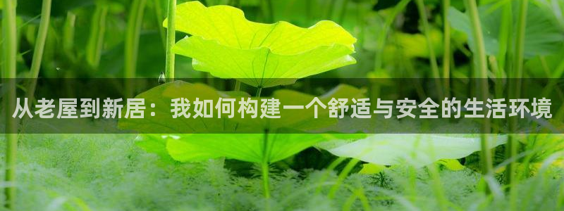 意昂3五金厂：从老屋到新居：我如何构建一个舒适与安全的生活环境