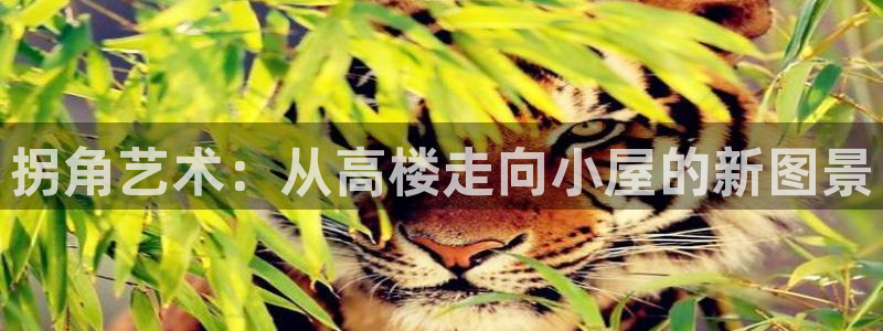 意昂体育3招商电话：拐角艺术：从高楼走向小屋的新图景