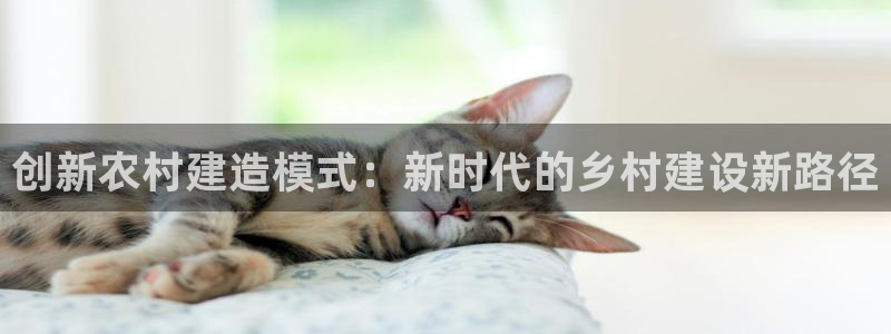 意昂3五金厂：创新农村建造模式：新时代的乡村建设新路径