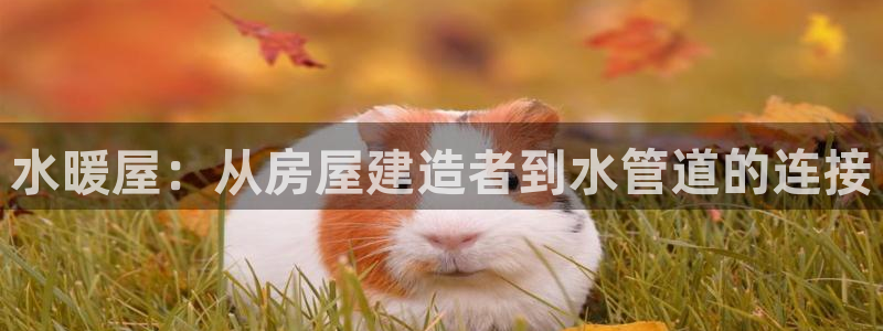 意昂集团官网：水暖屋：从房屋建造者到水管道的连接