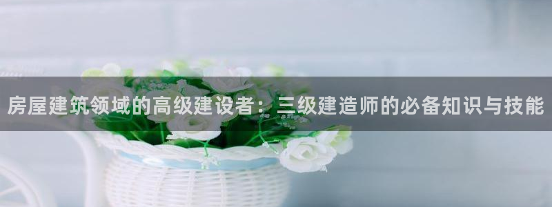 意昂3娱乐首页官网下载：房屋建筑领域的高级建设者：三级建造师的必备知识与技能