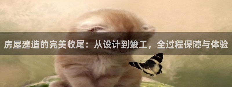 意昂集团官网：房屋建造的完美收尾：从设计到竣工，全过程保障与体验