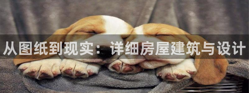 意昂3神州：从图纸到现实：详细房屋建筑与设计