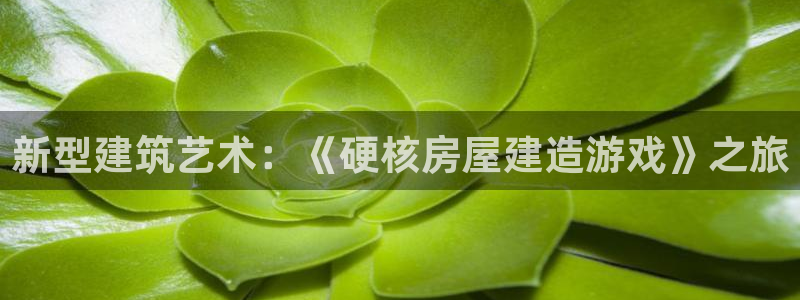 意昂体育3平台注册流程图：新型建筑艺术：《硬核房屋建造游戏》之旅