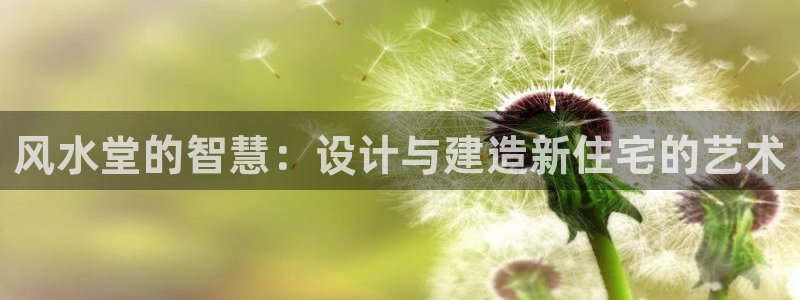 意昂3代理：风水堂的智慧：设计与建造新住宅的艺术