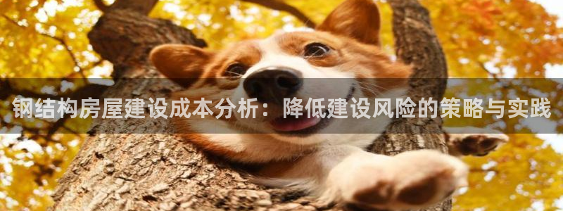 意昂3科技