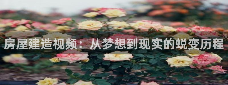 意昂体育3招商电话地址查询：房屋建造视频：从梦想到现实的蜕变历程