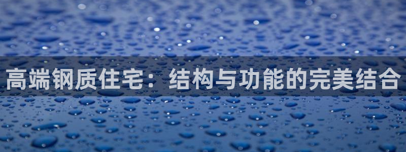 意昂3集团logo：高端钢质住宅：结构与功能的完美结合