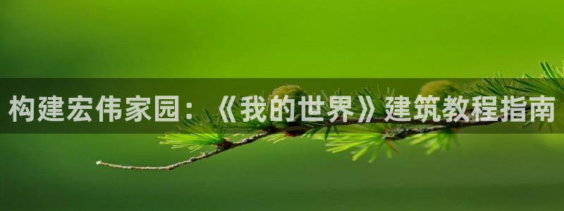 意昂3娱乐首页网站大全：构建宏伟家园：《我的世界》建筑教程指南