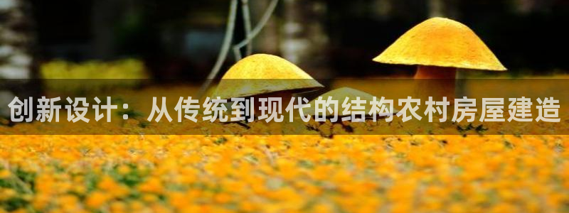 意昂3集团官网首页：创新设计：从传统到现代的结构农村房屋建造