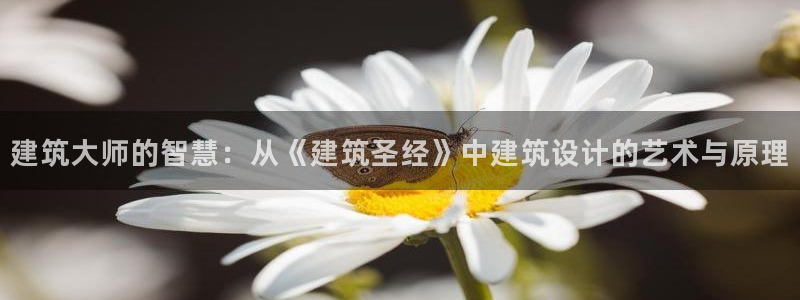 意昂3娱乐首页官网下载：建筑大师的智慧：从《建筑圣经》中建筑设计的艺术与原理