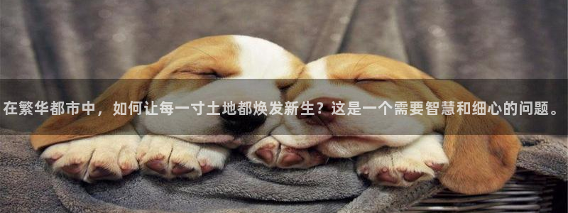 意昂3集团简介：在繁华都市中，如何让每一寸土地都焕发新生？这是一个需要智慧和细心的问题。