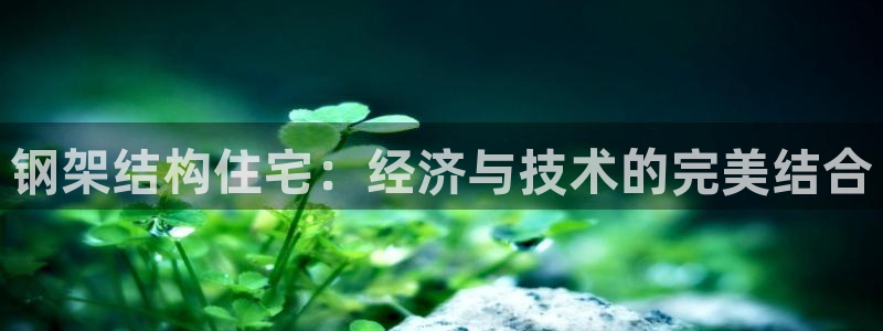 意昂体育3招商电话地址：钢架结构住宅：经济与技术的完美结合