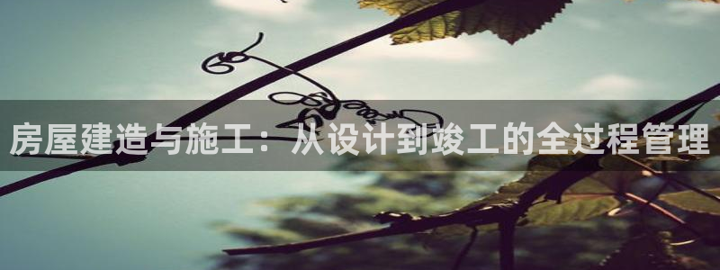 意昂3娱乐40996：房屋建造与施工：从设计到竣工的全过程管理