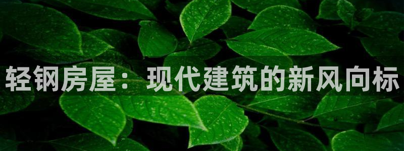 意昂3娱乐首页网站大全