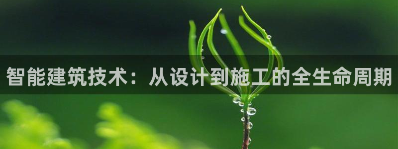 意昂3代理：智能建筑技术：从设计到施工的全生命周期