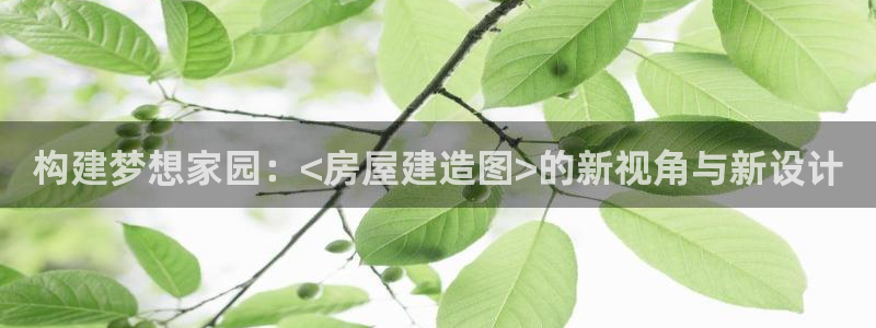 意昂体育3注册：构建梦想家园：<房屋建造图>的新视角与新设计